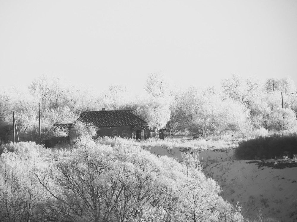 Photograph by Лариса Басова