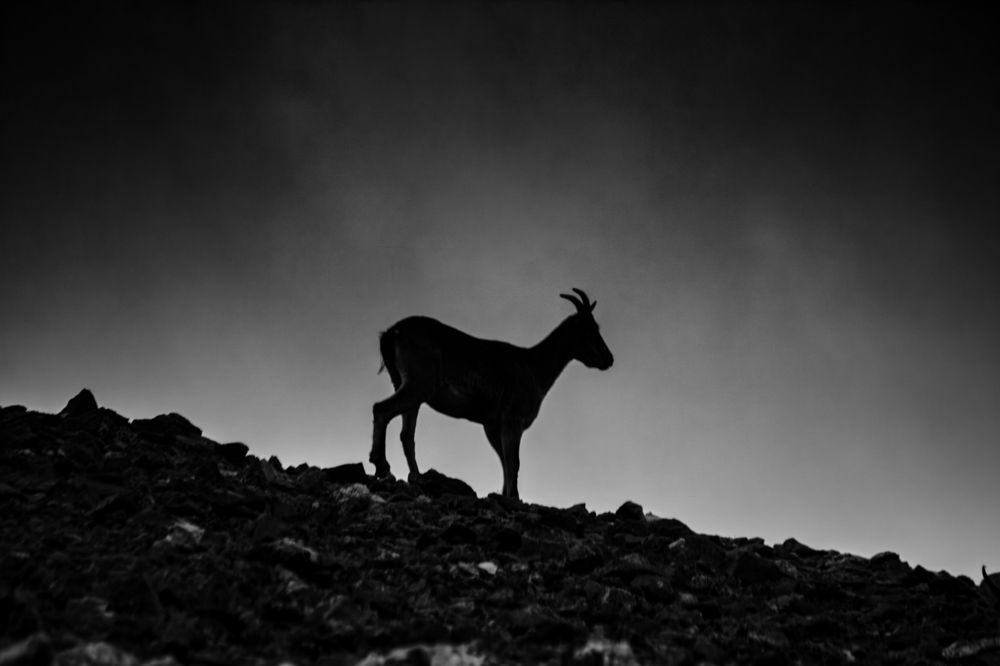 Photograph by Алексей Соколов