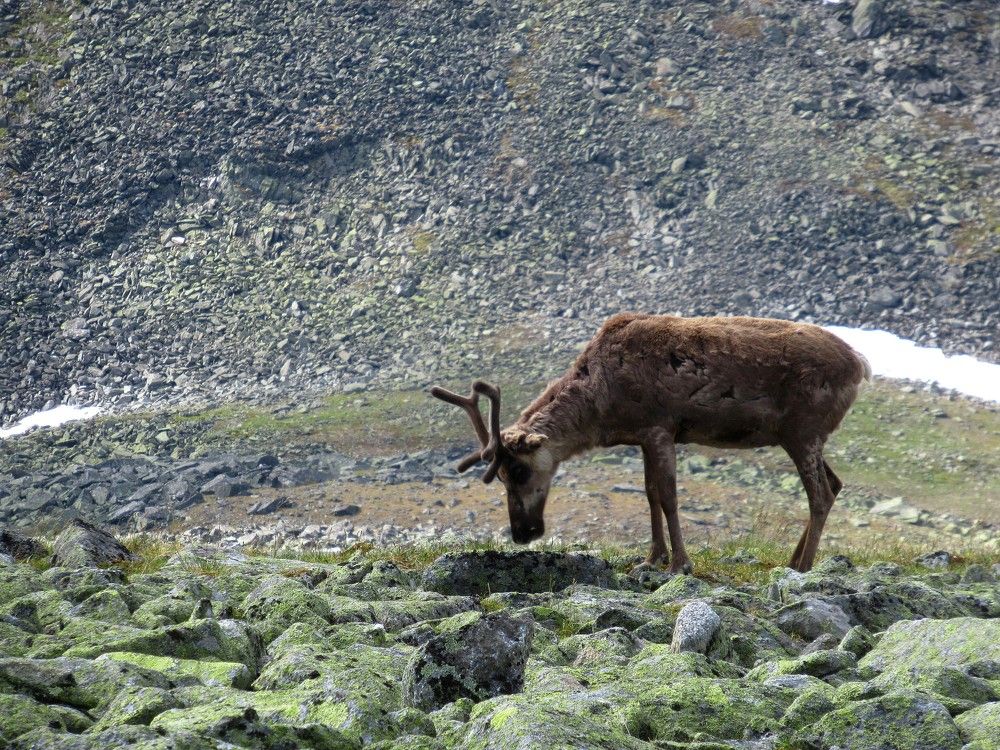 Photograph by Ольга Березовская