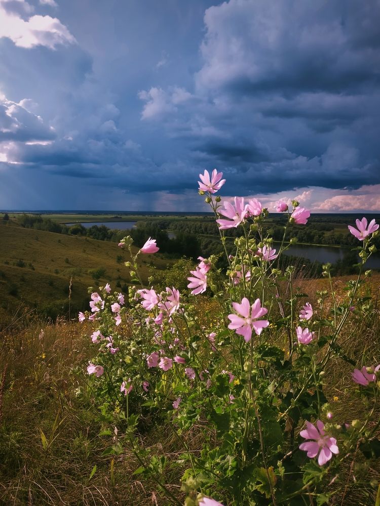 Photograph by Ольга Мартьянова