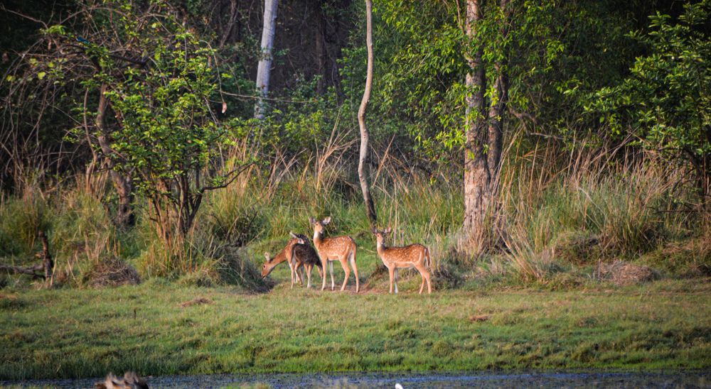 Photograph by Sagar Suraj Meshram