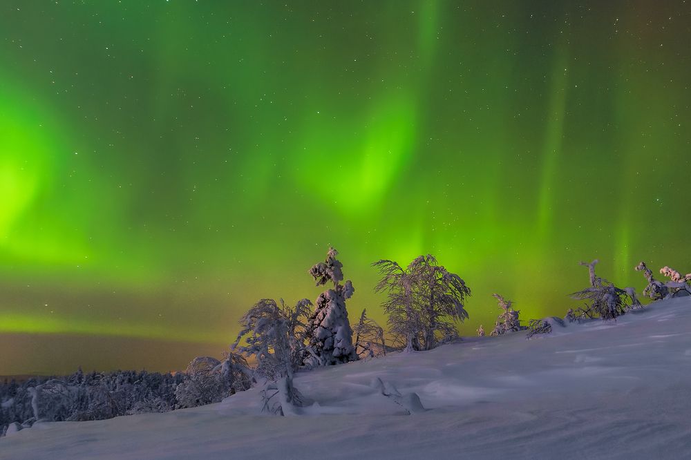 Фотография автора Mika Mgla