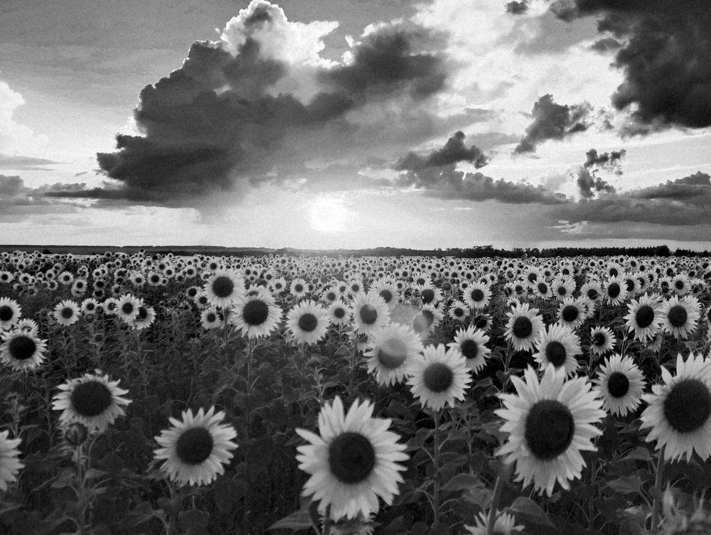 Photograph by Серёга Ануфриев