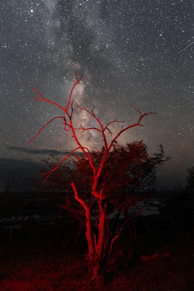 Фотография автора Liza Larionova