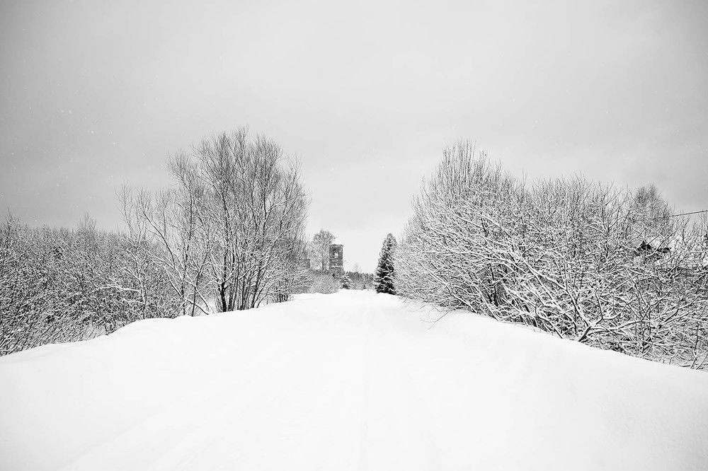 Photograph by Ксения