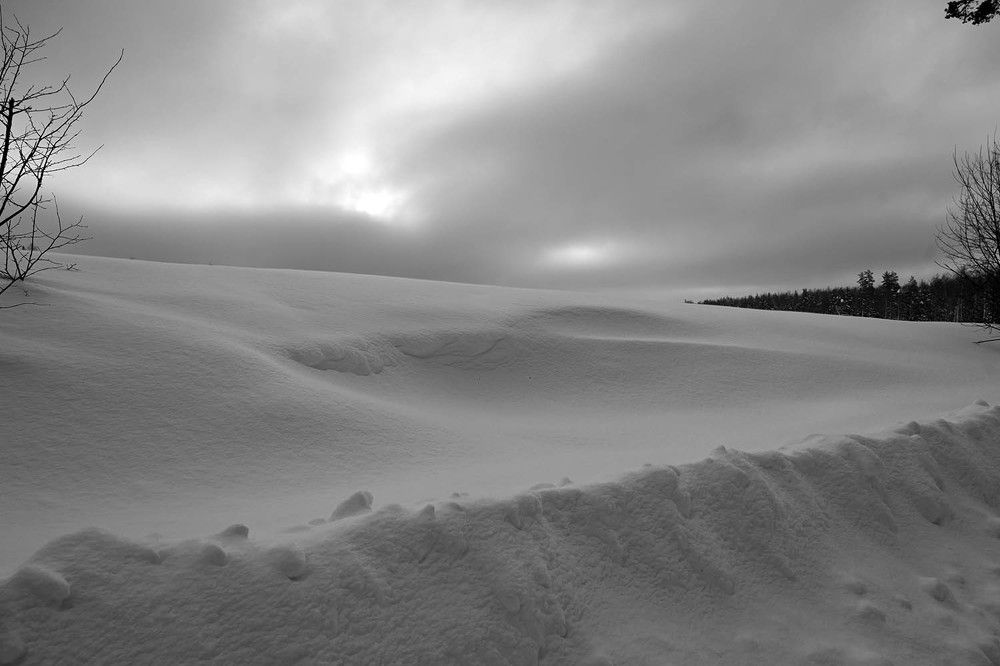 Photograph by Ксения