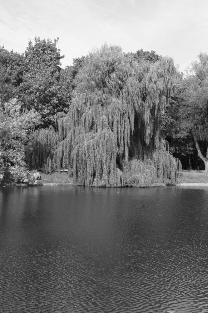 Photograph by Наталья Алексеева