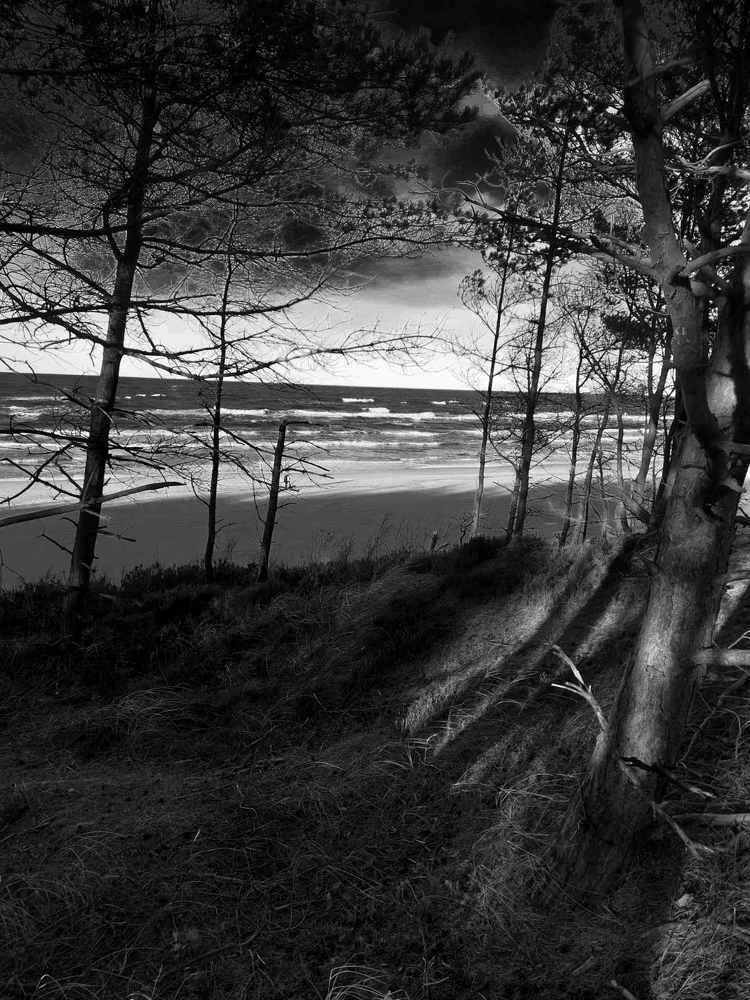 Photograph by Ivan Goshtanar