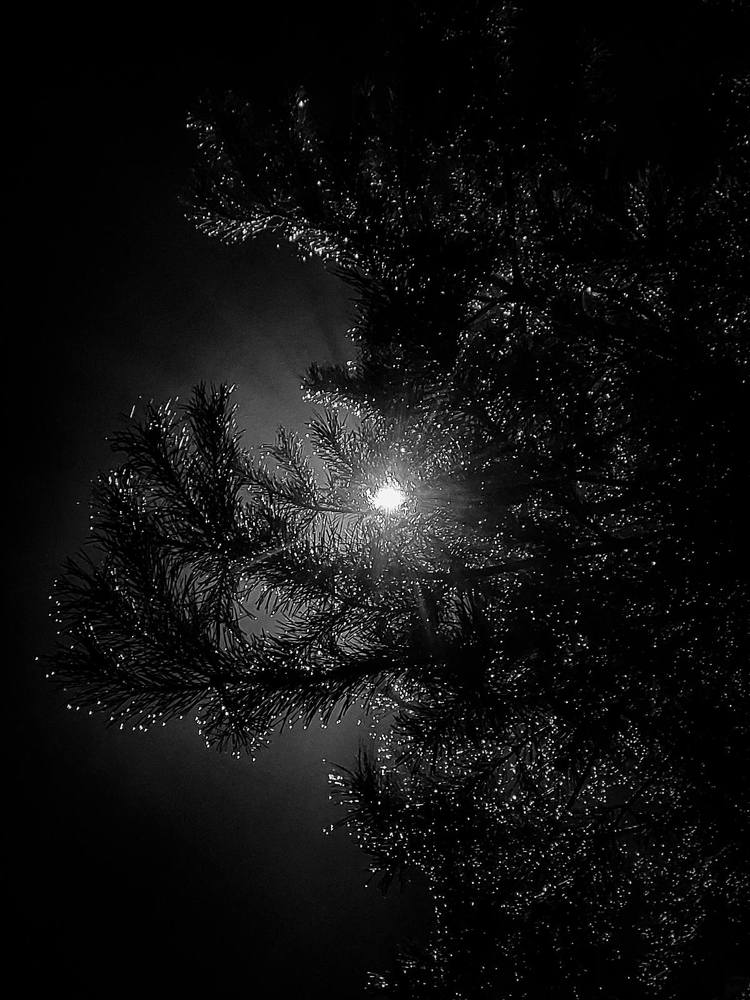 Photograph by Ivan Goshtanar