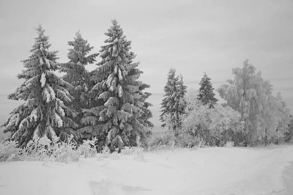 Фотография автора Юрий Кетель