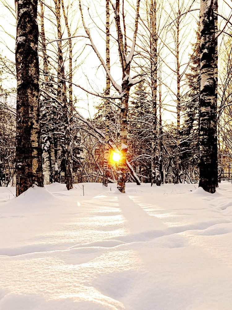 Photograph by Наталья Москвина