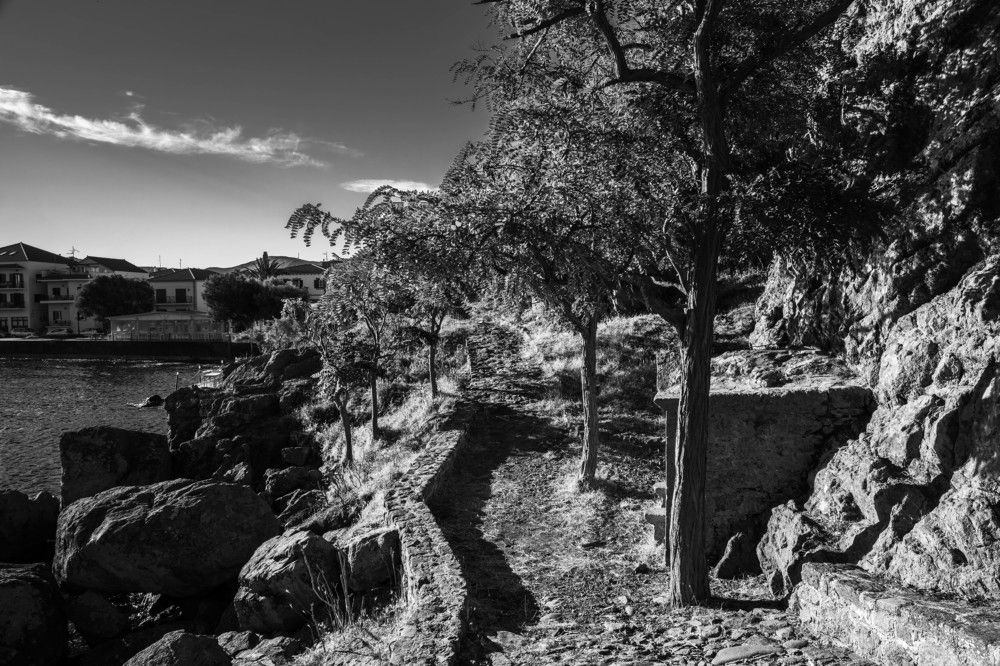 Фотография автора DIMITRIS MPAZIOTOPOULOS