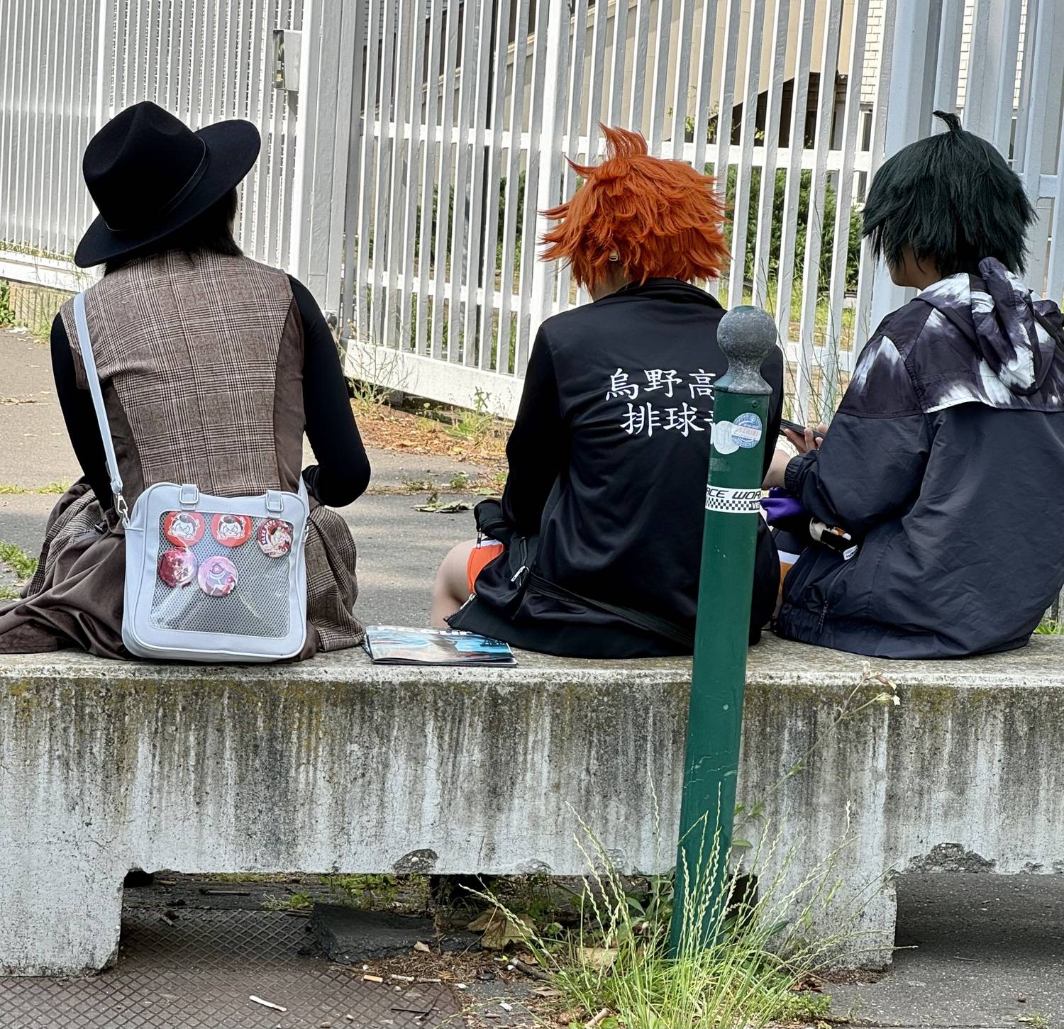 Photo #11533118