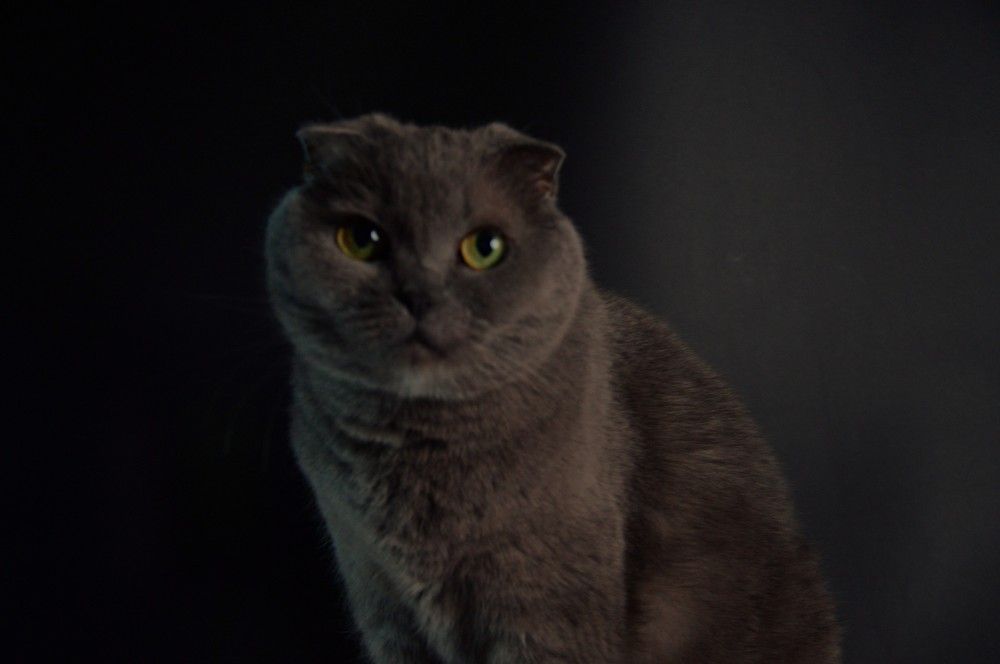 Photograph by Ольга Шевцова