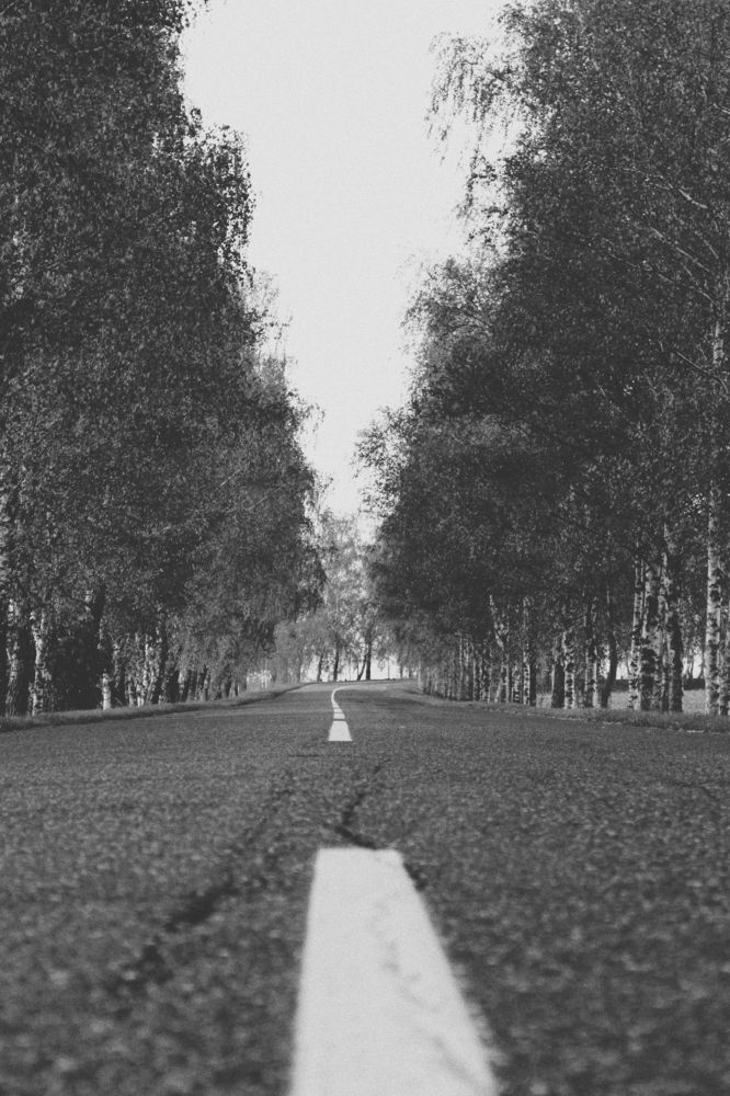 Photograph by Liudmila Pilets