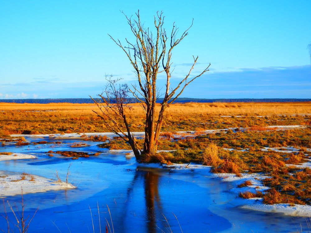 Фотография автора Jevgeni Filimonov
