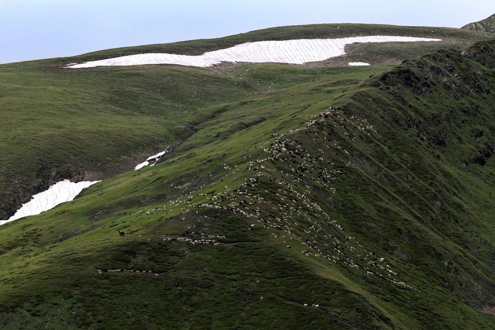 Фотография автора Колосова Елена