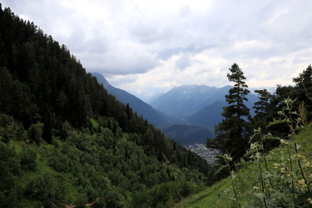 Фотография автора Колосова Елена