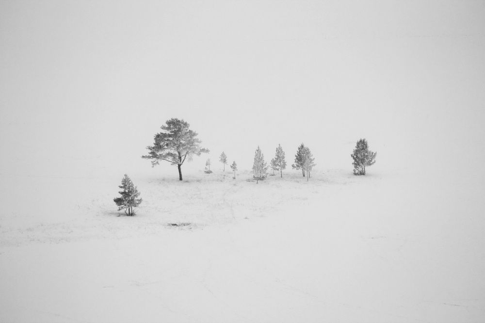 Фотография автора Колосова Елена