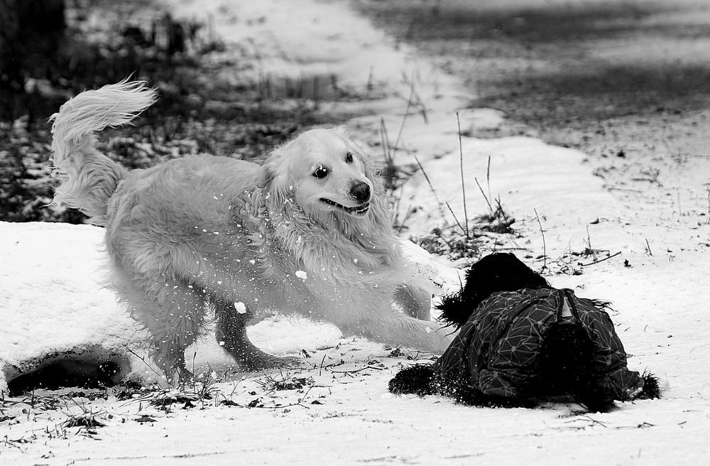 Photograph by Татьяна Слесарева