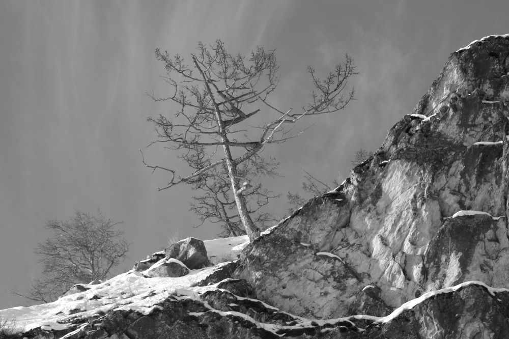 Фотография автора Колосова Елена