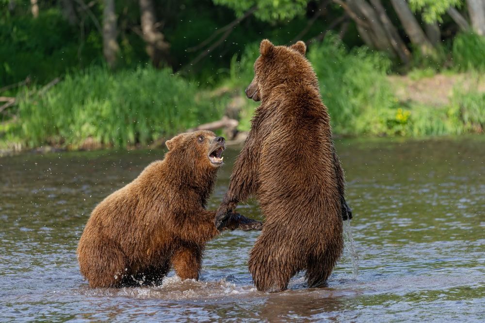 Да. ладно, я тебе не верю!