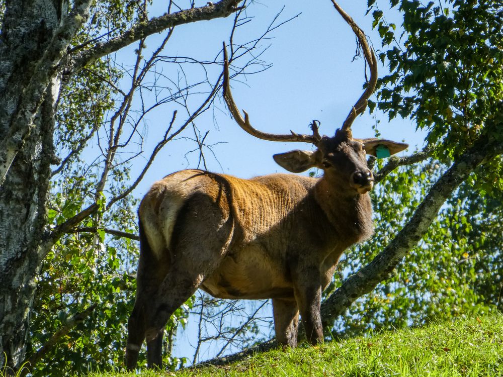 Photograph by Мария Петровцева