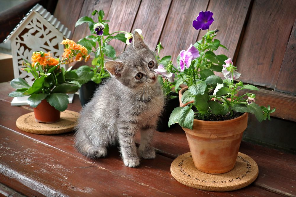 Photograph by Татьяна Елькина