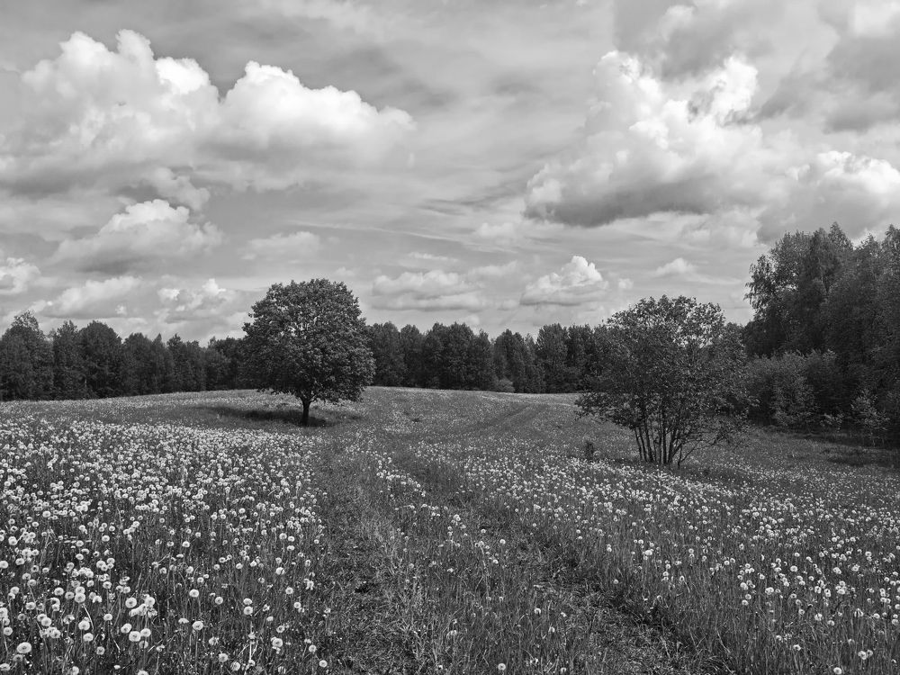 Photograph by Виктор Гурков