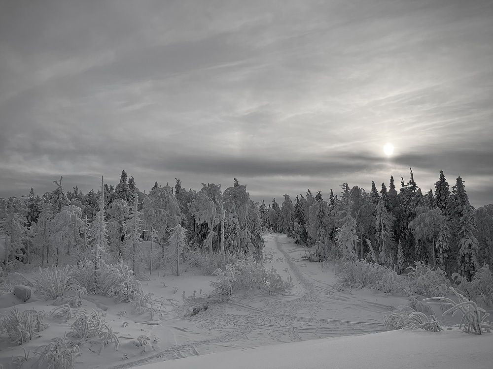 Photograph by Оксана Абакумова