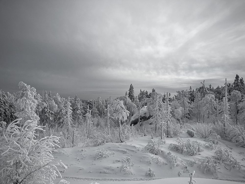 Photograph by Оксана Абакумова