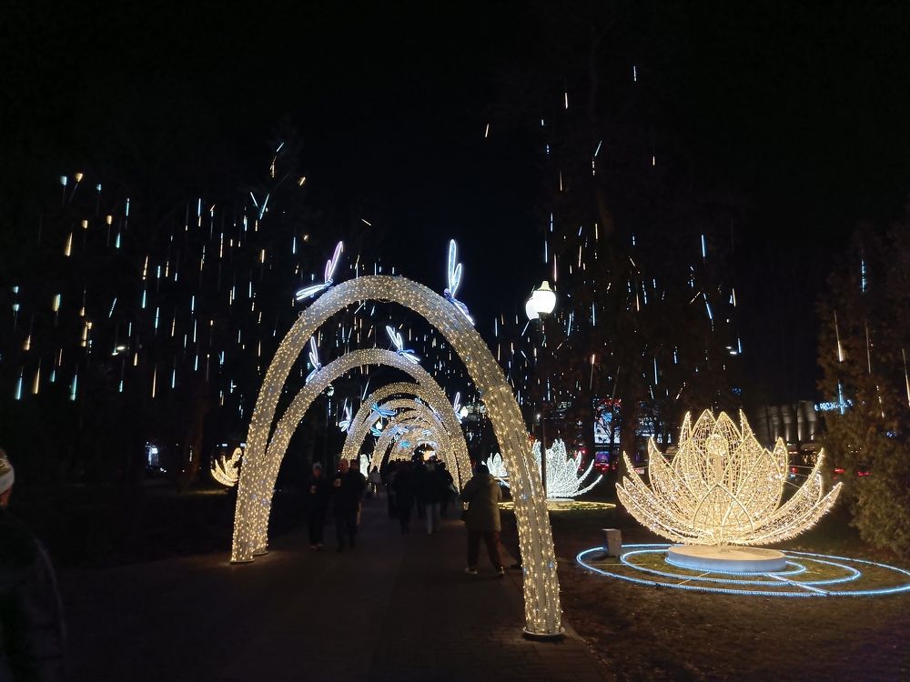 Photo #11533396