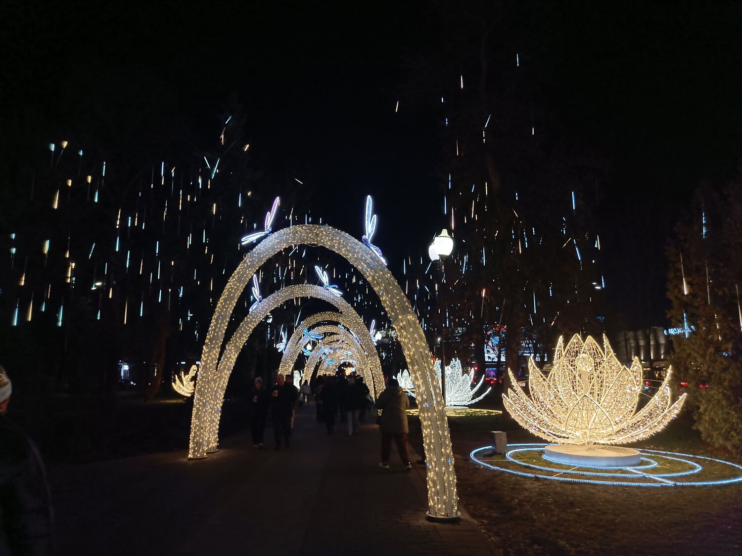 Photo #11533396