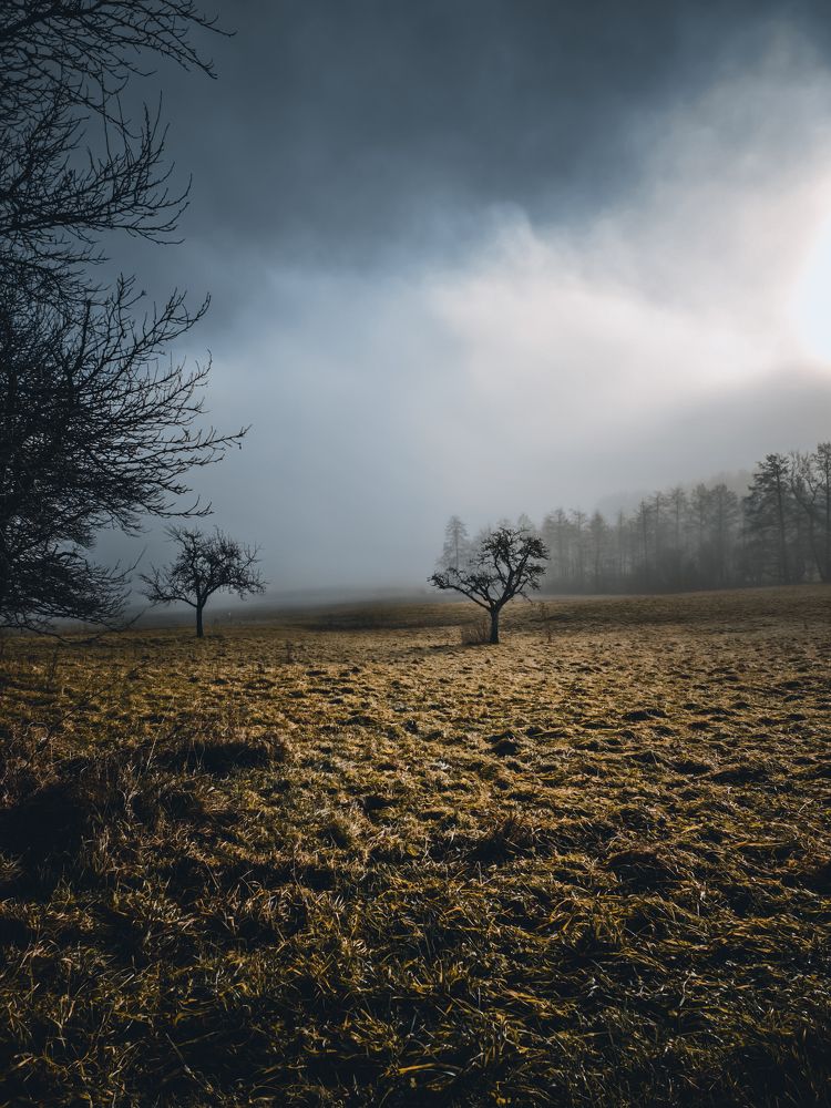 Photograph by sindrom777