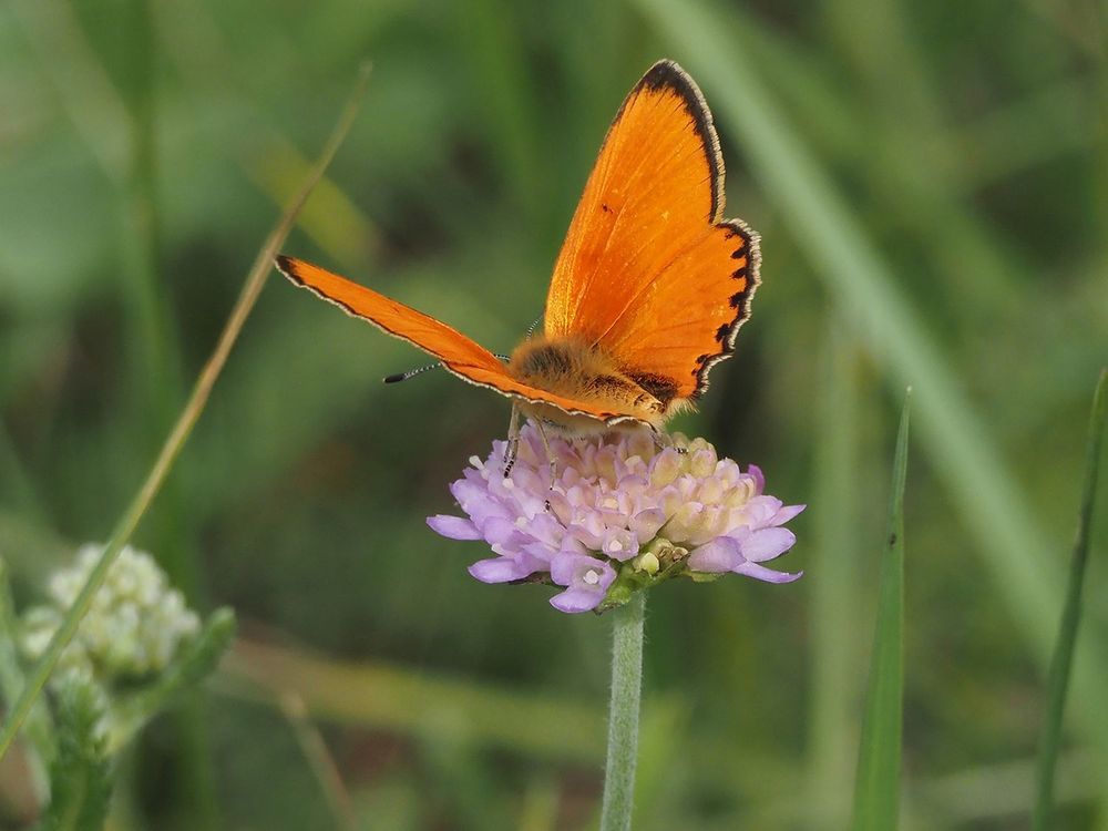 Photograph by Духанин Сергей