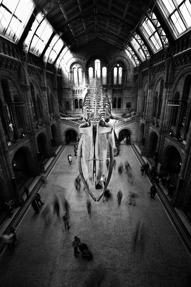 Photograph by Румен Сомов