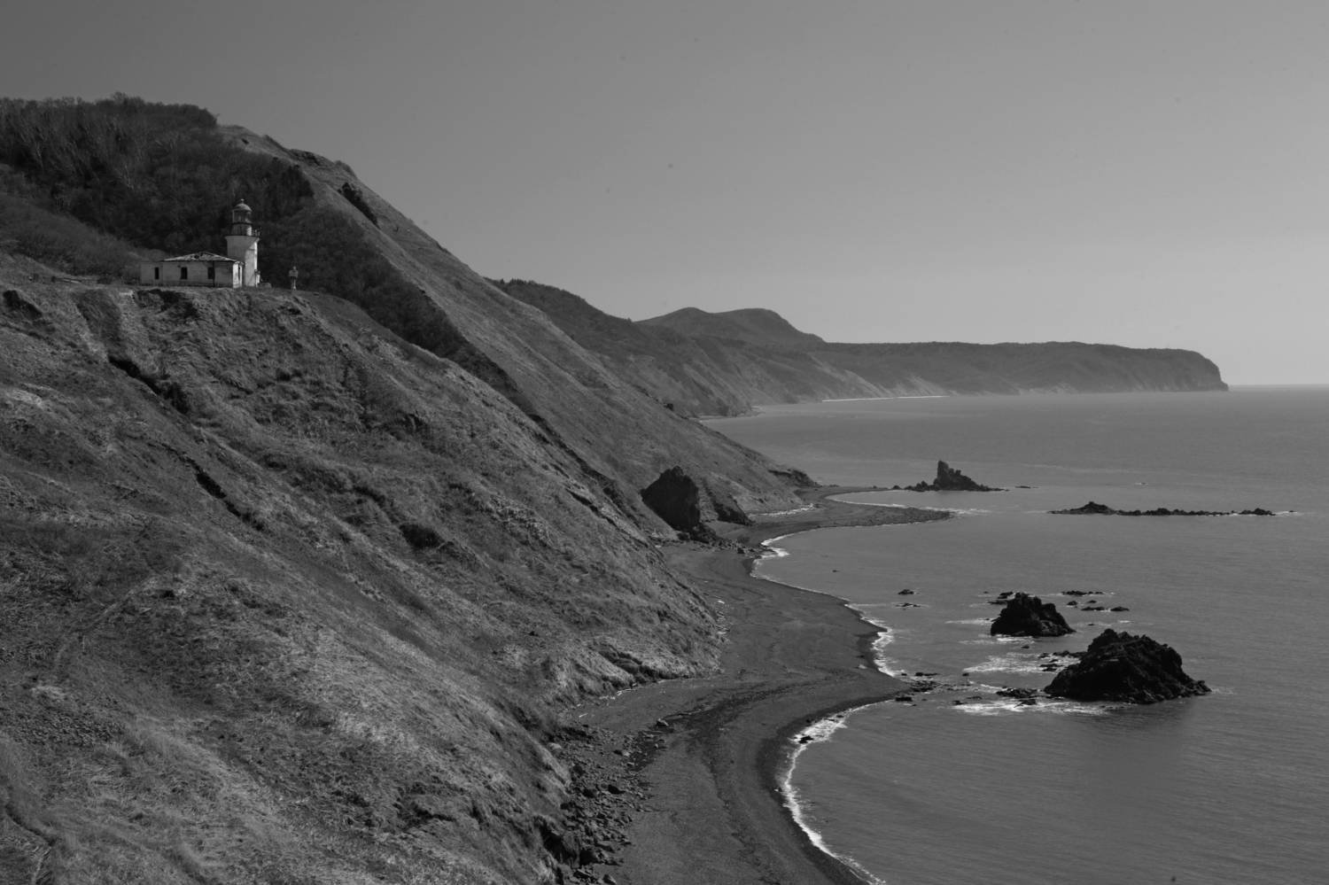 Photo #11533669