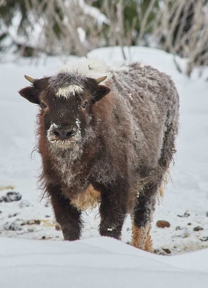 Photograph by Дмитрий Лепаков