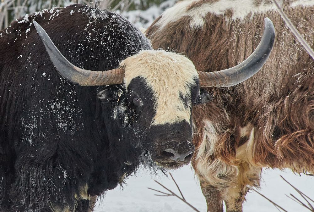 Photograph by Дмитрий Лепаков