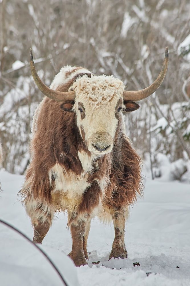 Photograph by Дмитрий Лепаков