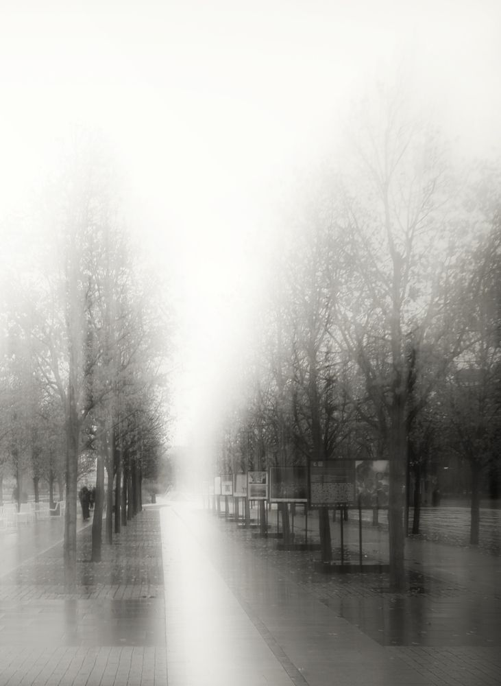 Photograph by Маргарита Смоленская