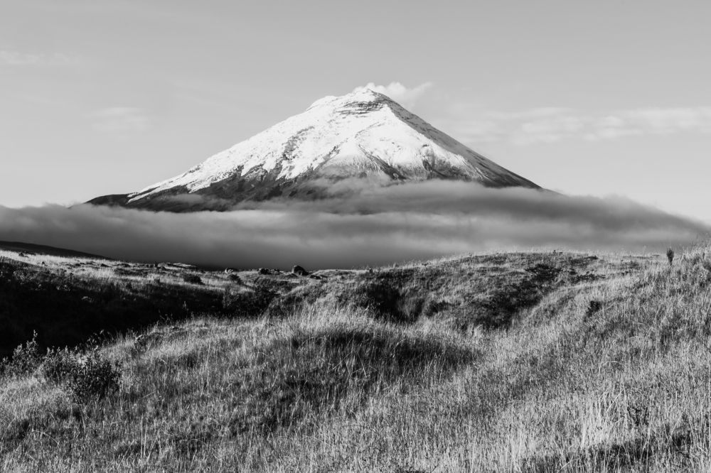 Photograph by Sandra Alvarez