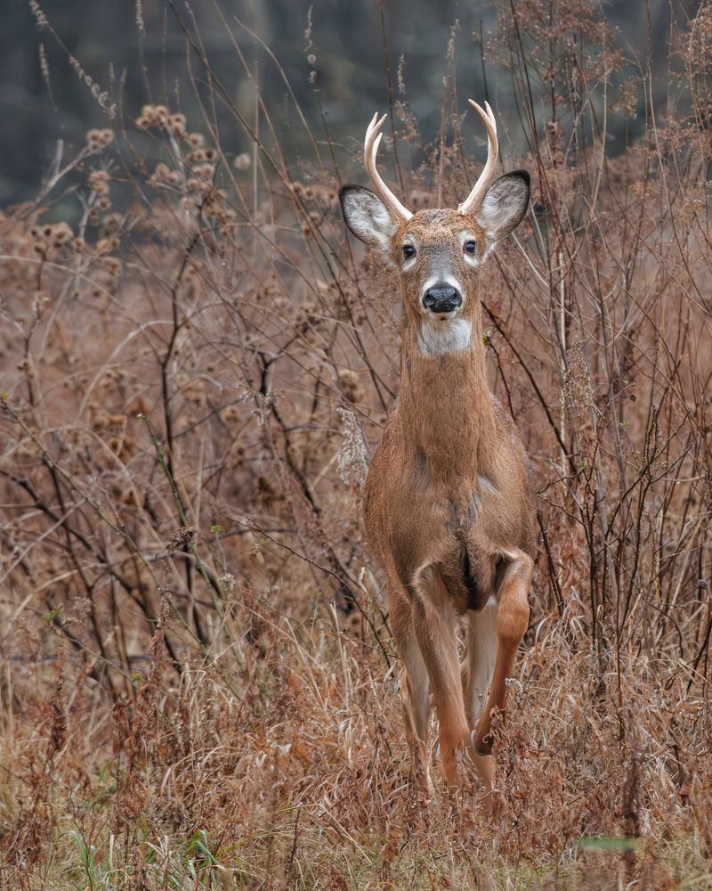 Photograph by Greg Noakes