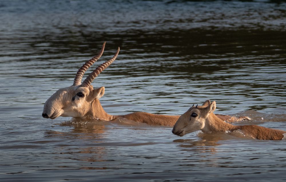 Photograph by Анна Стрелковская