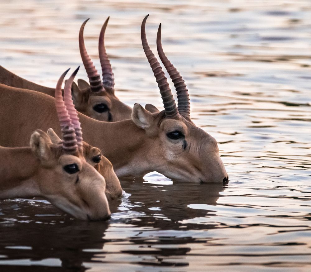 Photograph by Анна Стрелковская