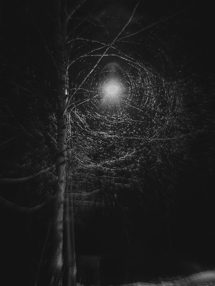 Photograph by Виктория