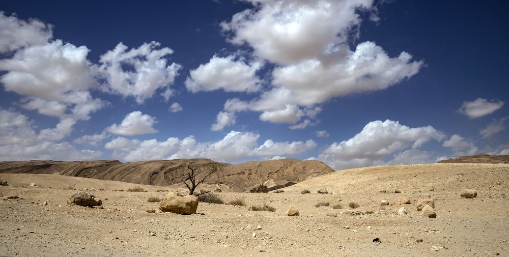 Photograph by Валентина Булкина