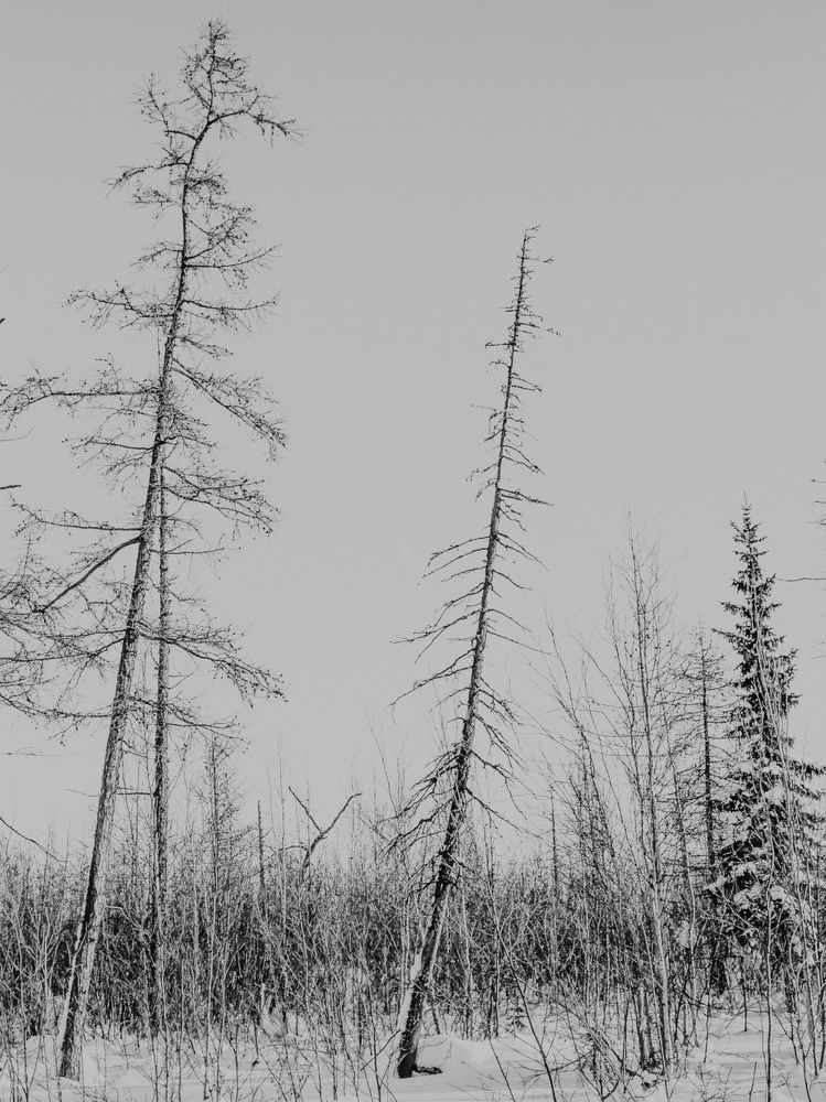 Photograph by Виктория