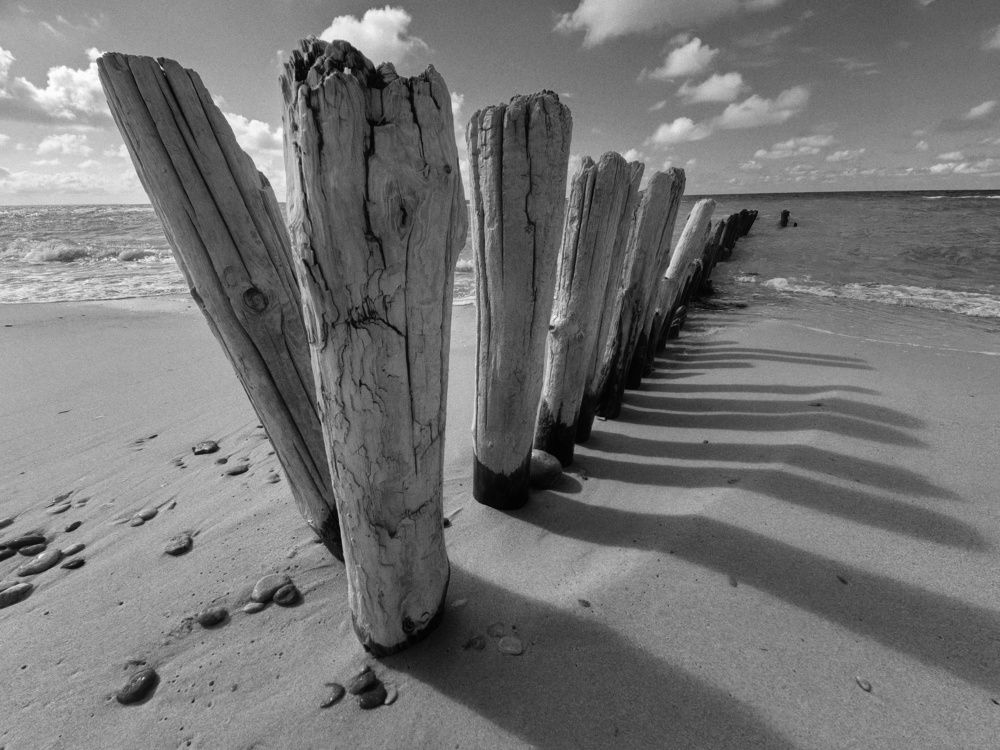 Photograph by Попов Виктор