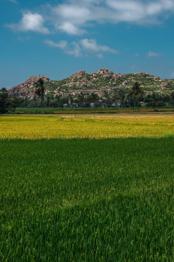 Hampi Field